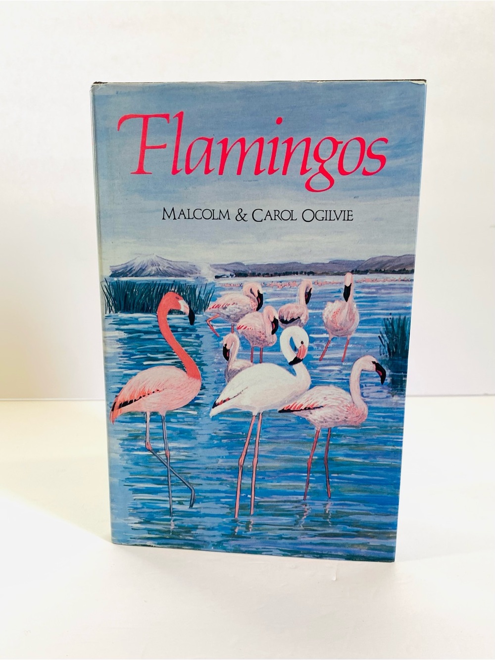 Flamingos by Malcolm & Carol Ogilvie
